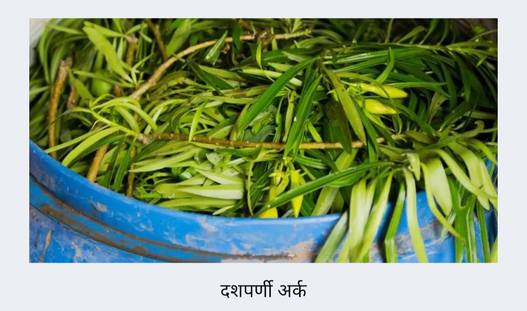 दशपर्णी अर्क बनवण्याची साधी सोपी पद्धत 🌱✍️📚 2 1653362904812686 1