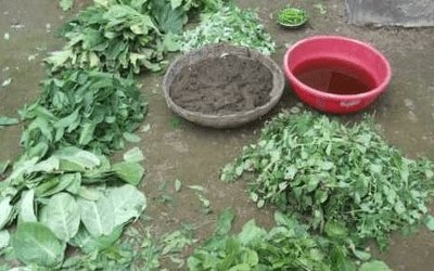 दशपर्णी अर्क बनवण्याची साधी सोपी पद्धत 🌱✍️📚 1 1653362908588809 0