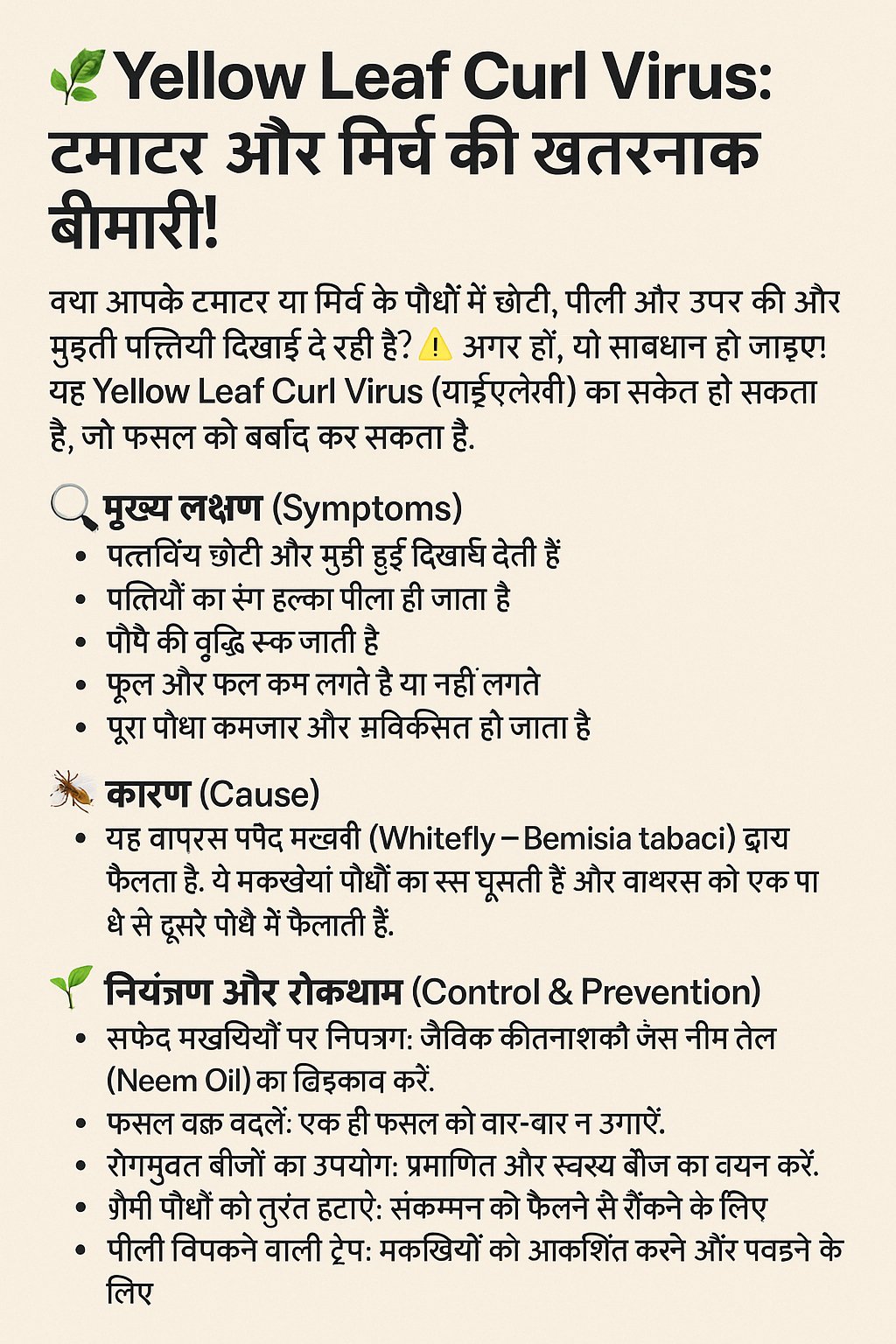 ЁЯМ┐ Yellow Leaf Curl Virus: рдЯрдорд╛рдЯрд░ рдФрд░ рдорд┐рд░реНрдЪ рдХреА рдЦрддрд░рдирд╛рдХ рдмреАрдорд╛рд░реА! 2 image 9b03b0d221fc852bb5513a70902c30e5