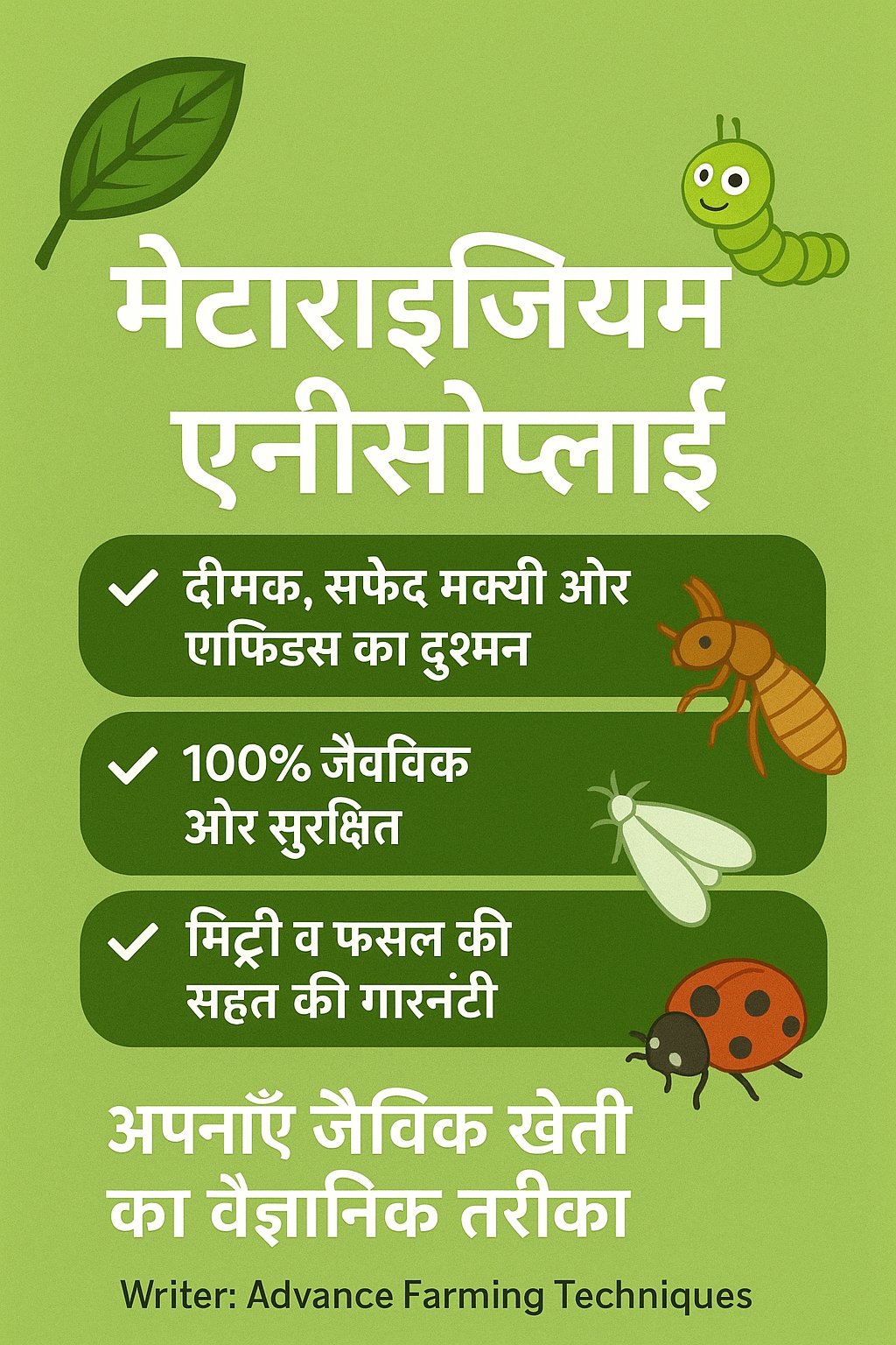 मेटाराइजियम एनीसोप्लाई: कीट नियंत्रण का जैविक मास्टर 🐛🐞 1 image c8c1f7f735b8cbda75629e0a1e30e933
