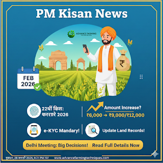 PM Kisan News 2026: दिल्ली बैठक में बड़ा फैसला, जानें कब आएगी 22वीं किस्त? 1 266840