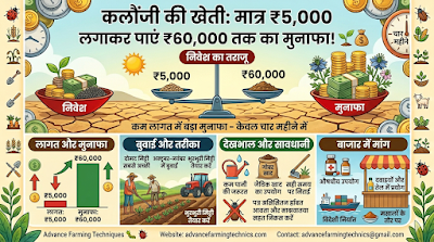 कलौंजी की खेती से बनें मालामाल: ₹5000 लगाकर कमाएं ₹60000 🌱💰 1 339443