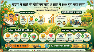 खंडवा में संतरे की खेती से किसान हुए मालामाल: 5 साल में 100 गुना बढ़ा रकबा | Advance Farming Techniques 🌱 1 341773