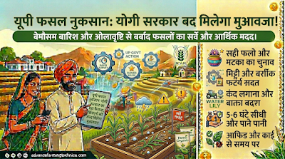 यूपी फसल नुकसान: योगी सरकार का बड़ा फैसला, किसानों को जल्द मिलेगा मुआवजा 🌱 1 357481