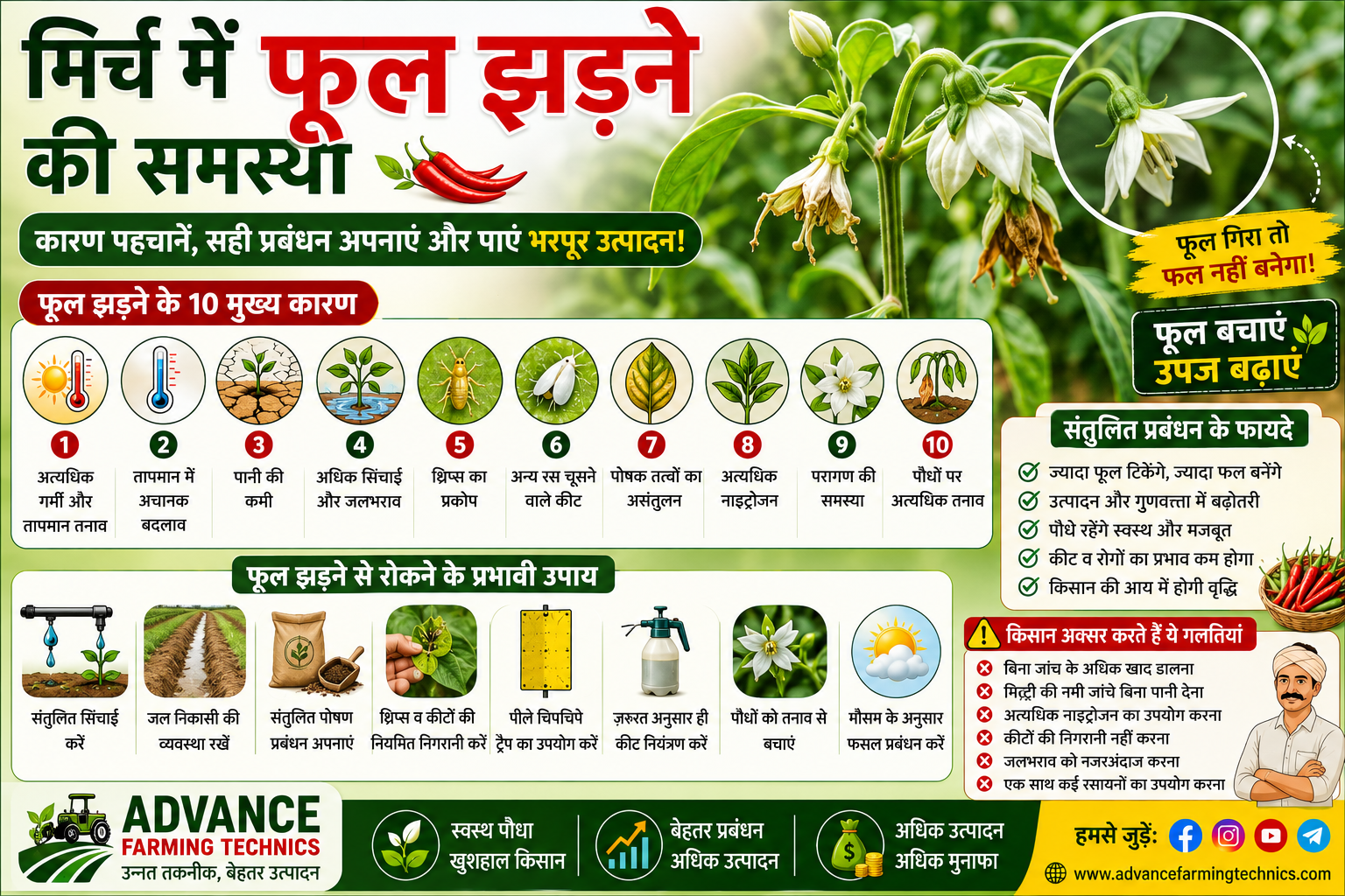 मिर्च में फूल झड़ने की समस्या और फूल बचाने के उपाय