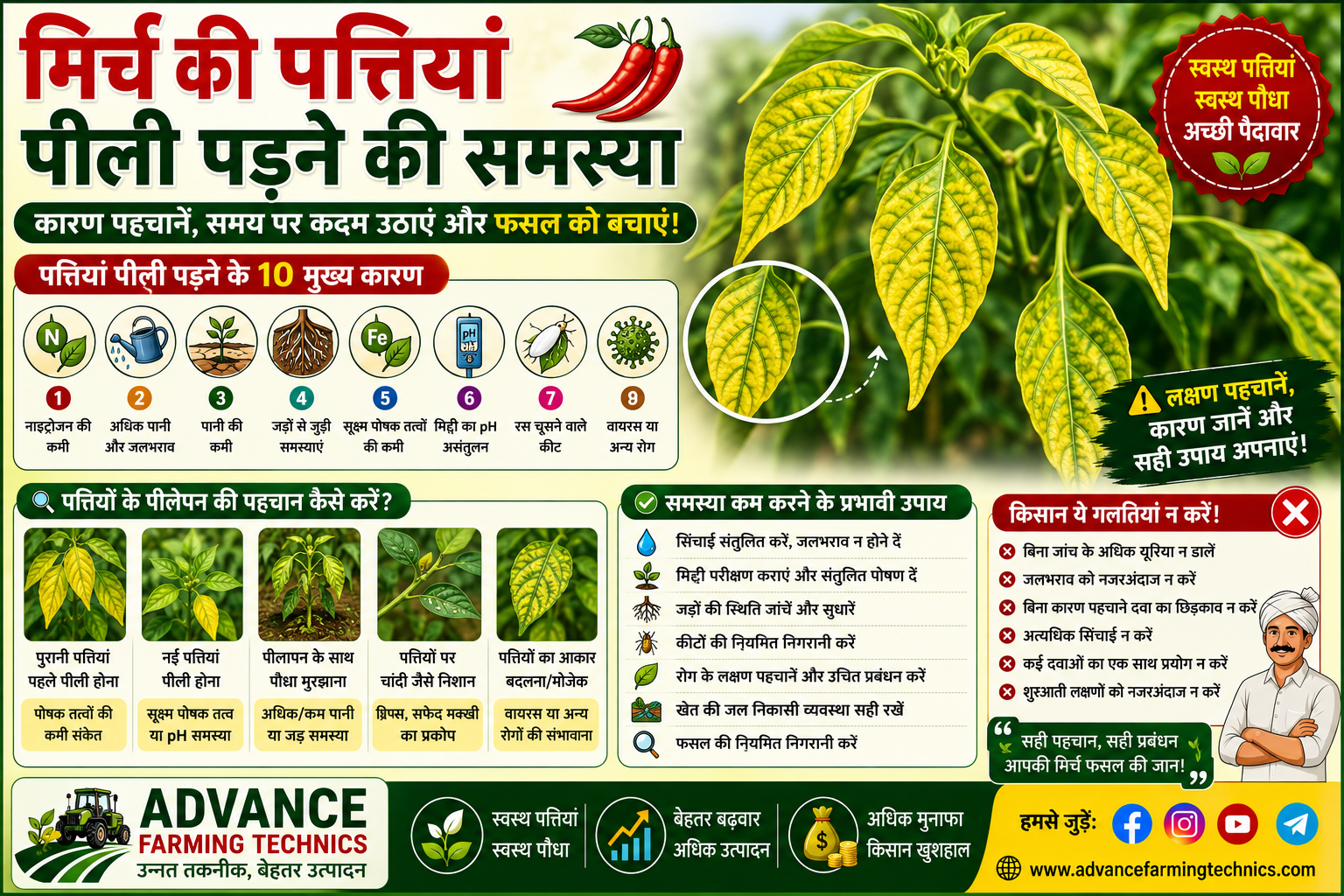 मिर्च में पत्तियां पीली पड़ने की समस्या — 10 कारण और फसल बचाने के उपाय 🍃⚠️ 2 मिर्च की पत्तियां पीली पड़ने की समस्या और बचाव के उपाय